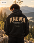 KNOWN. Heavyweight Oversized Hoodie — Psalm 139:1